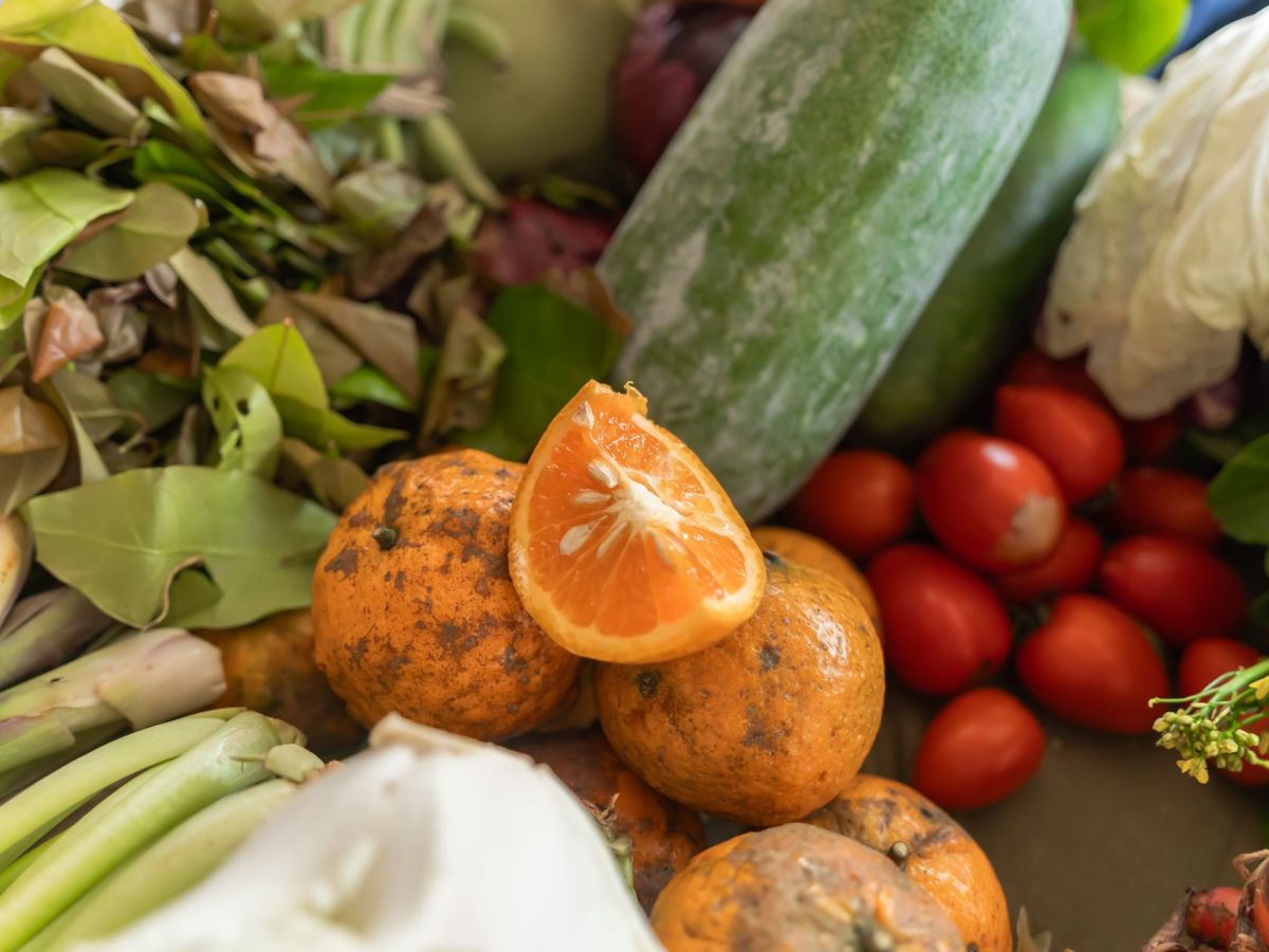 Saving Food, Creating Value: What Too Good To Go Teaches Modern&nbsp;Businesses