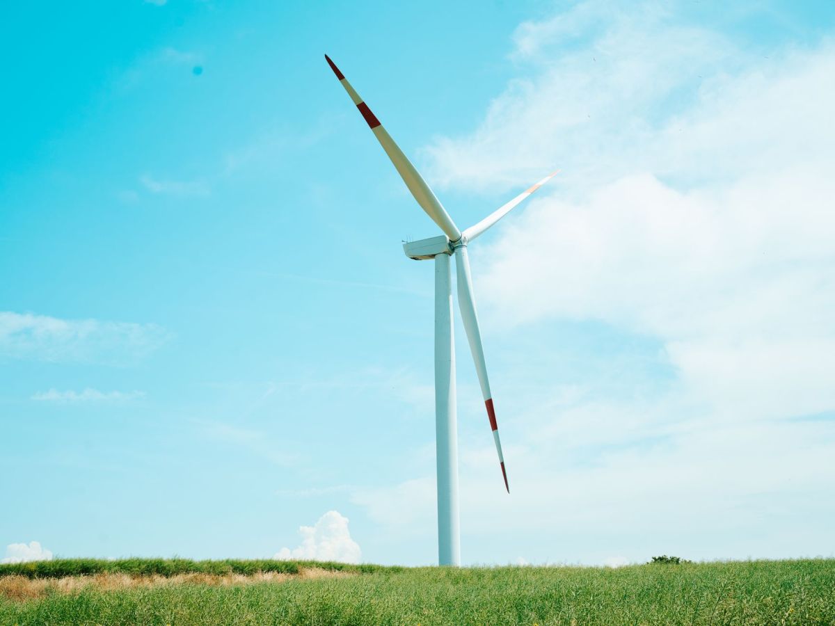 Ørsted: How a former Fossil-Fuel Utility became a Global Leader in Renewable&nbsp;Energy